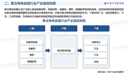 2025年中國聚合物電容器行業(yè)市場深度調(diào)查及投資前景預(yù)測報(bào)告